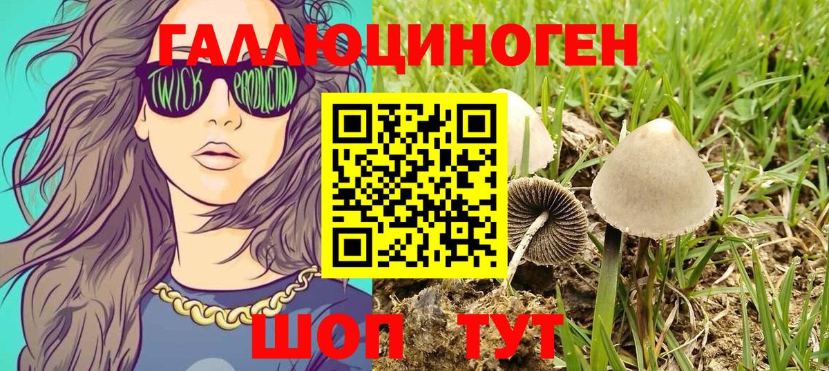 Железноводск  Галлюциногенные грибы Psilocybine cubensis  Вход с VPN 